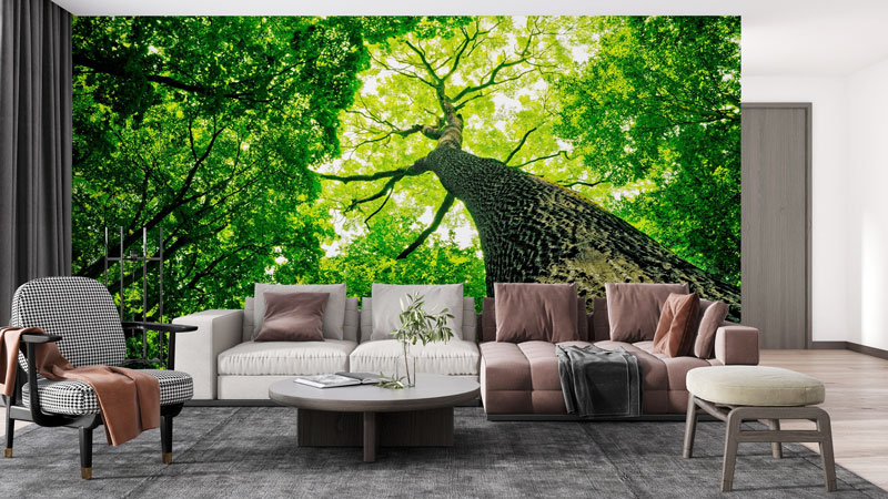 Decal Dán Tường